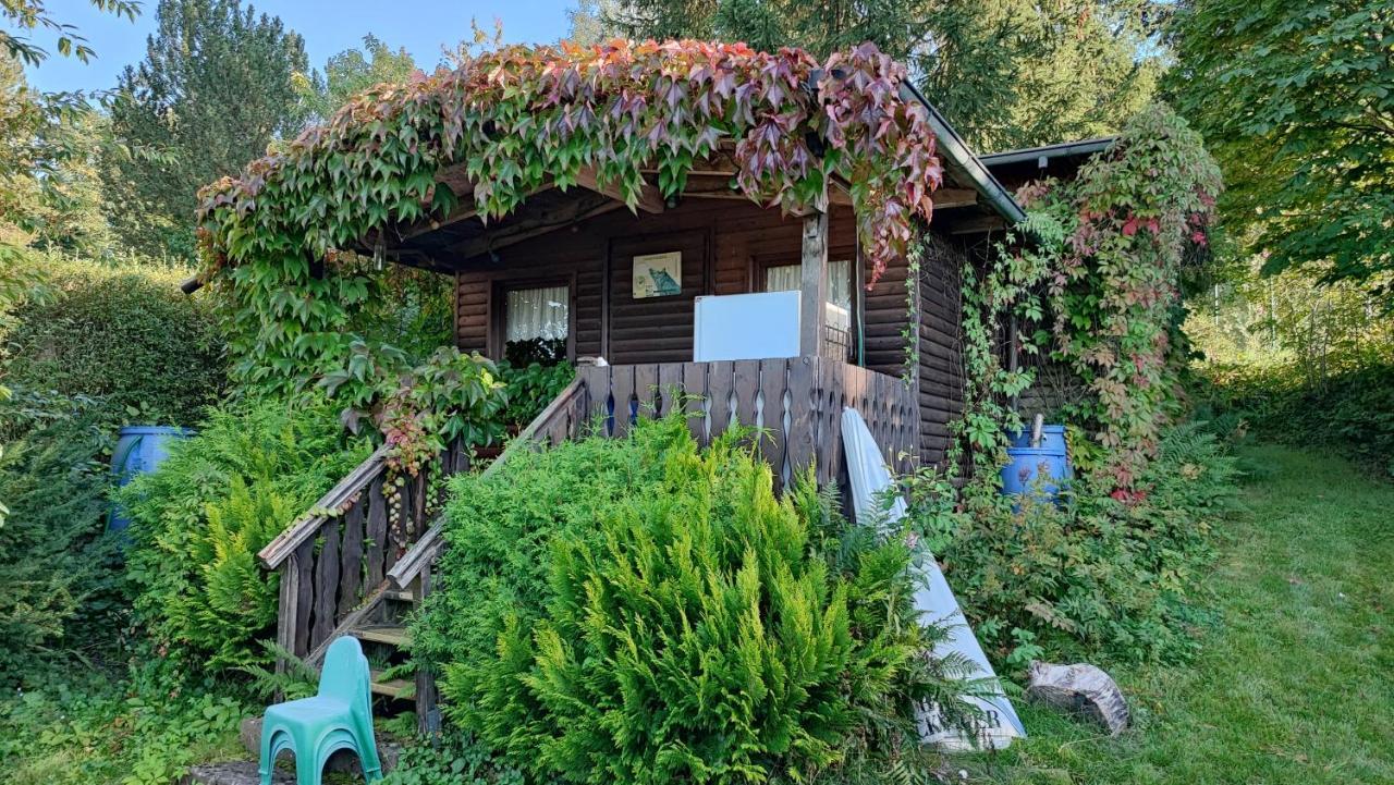 Staatsbad Brückenau Cafe Pension Sonnenkanzel מראה חיצוני תמונה